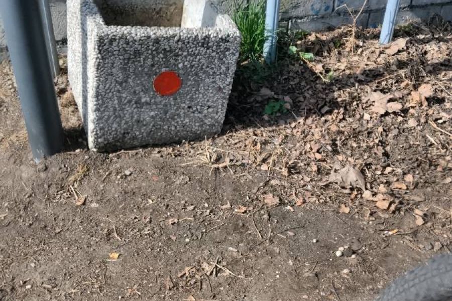 Blumentöpfe - Bild 4