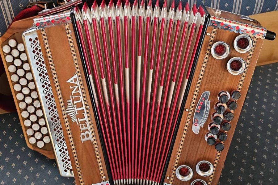 Steirisch Harmonika - Bild 2