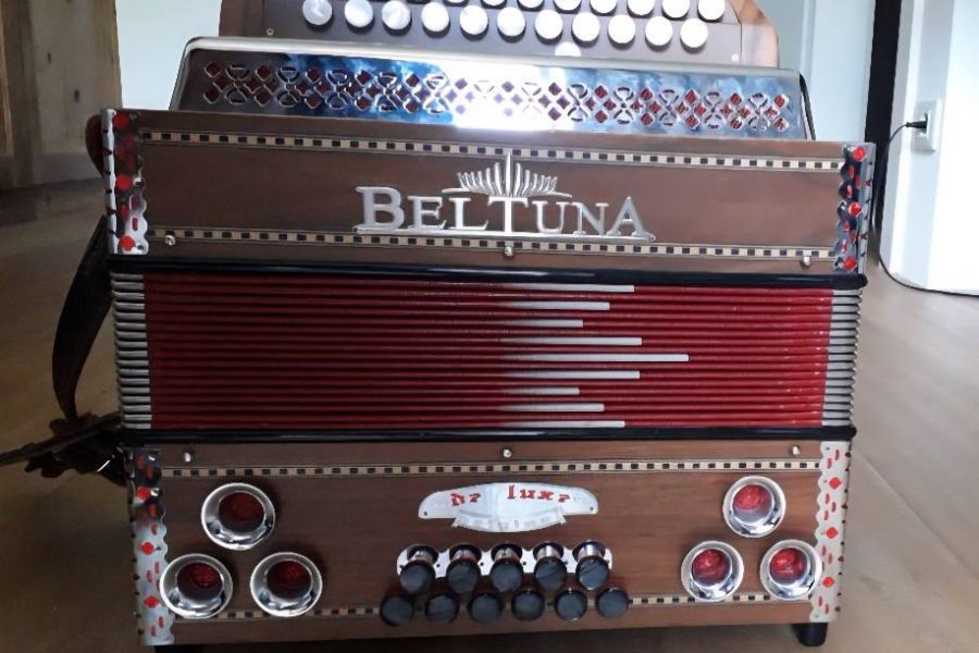 Steirisch Harmonika - Bild 3