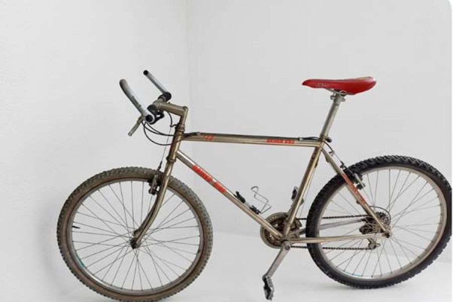 Mountainbike in Chrom-Optik - Bild 1