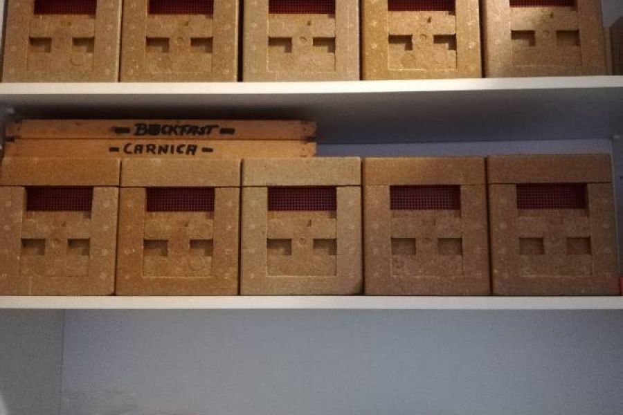 Schwarmkasten+Trichter, Apidea, Dispenser, Rauchfass... abzugeben - Bild 2