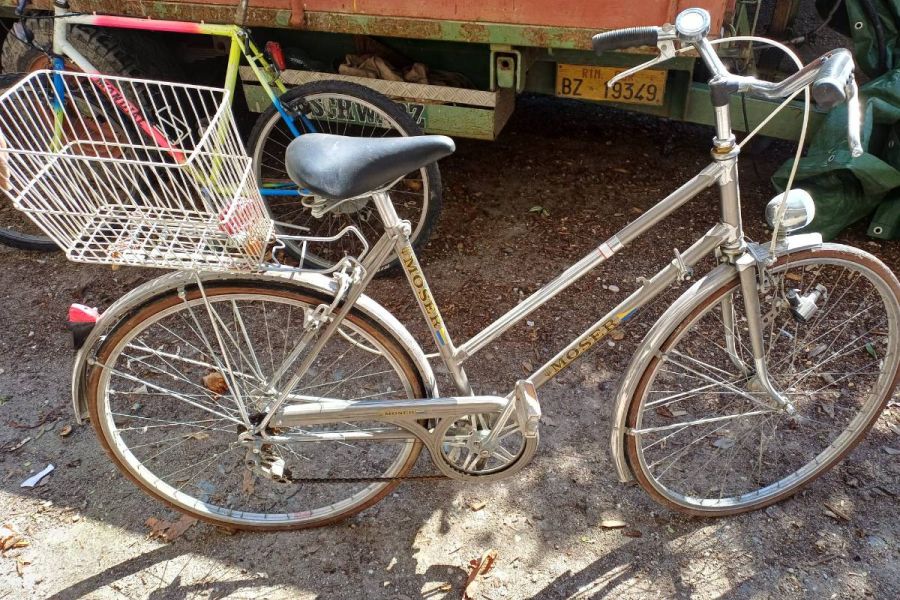 Vintage Damenfahrrad - Bild 1