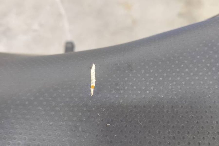 Suzuki Bandit 600 - Bild 4