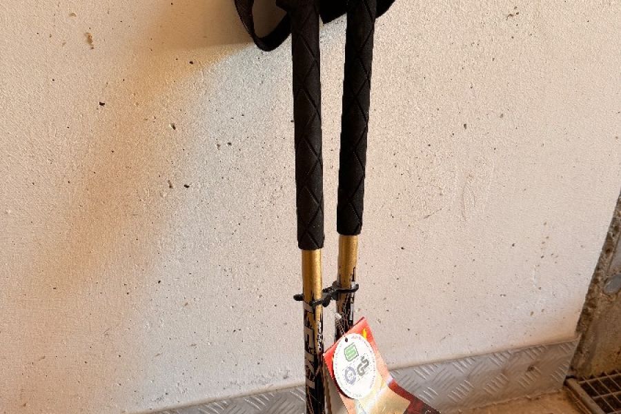 Ski,Touren,Wanderstöcke - Bild 1