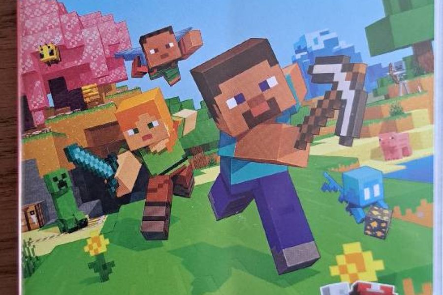 Verkaufe Minecraft für die Switch - Bild 1