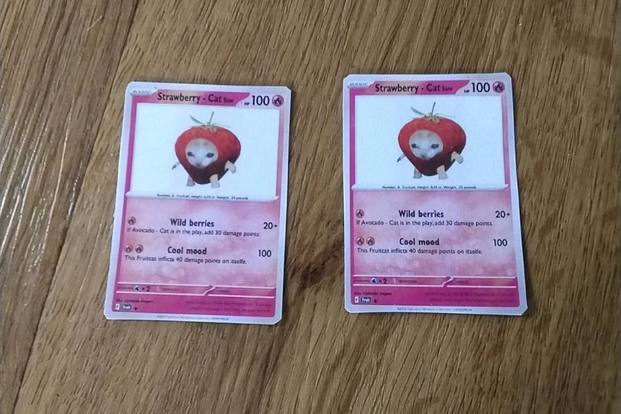 Selbstgemachte Fruitcat Sammelkarte - Bild 1