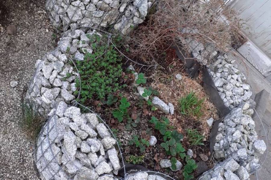 Kräuterspirale - Bild 1