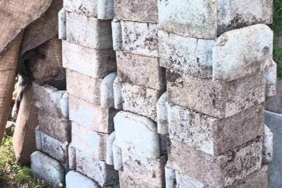 Gartenbeete Loeffel - Bild 2