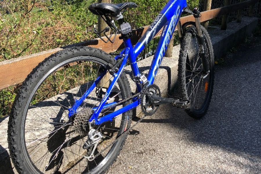 Mountainbike Damen - Bild 3