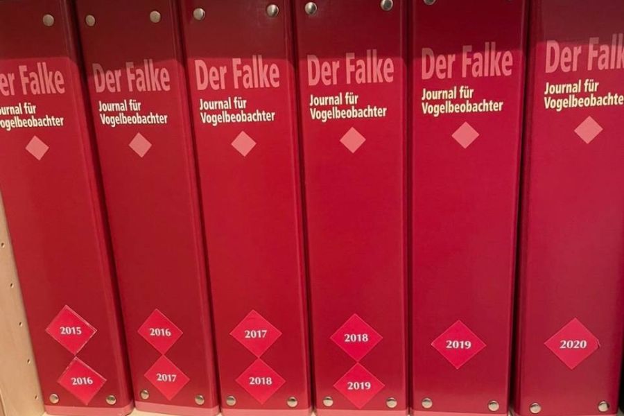 Ornithologie/ Fachzeitschrift "Vögel" und "Der Falke" - Bild 1