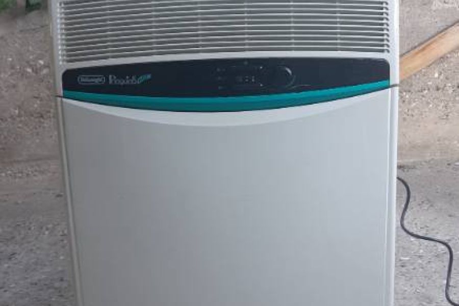 Pinguino de Longhi - Bild 2