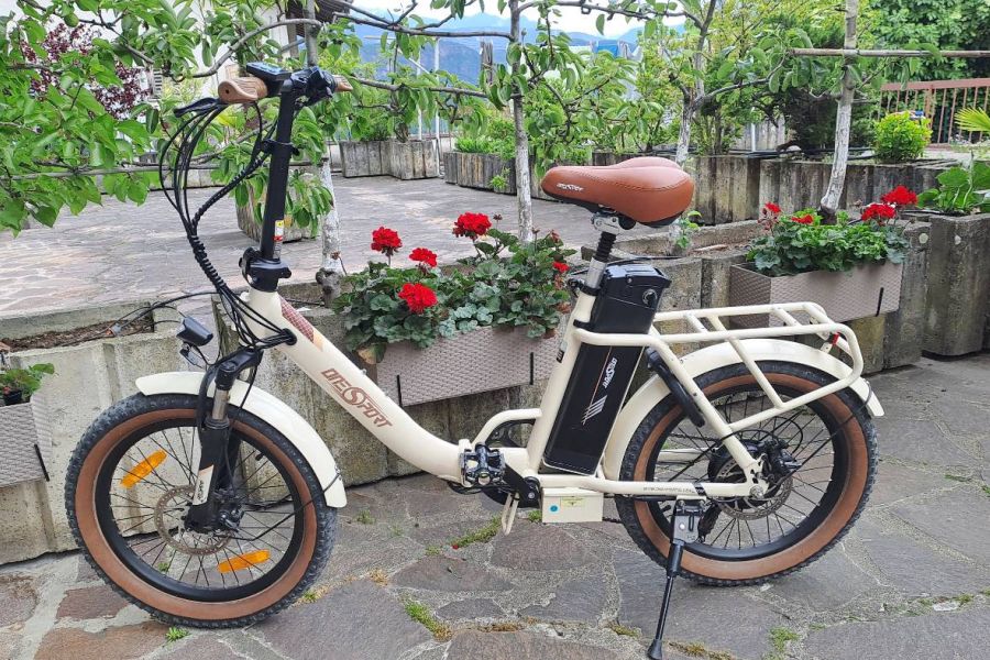 E-Bike 250W OT16-2 E-Bike 20'' 150KG Klappbar - Bild 1