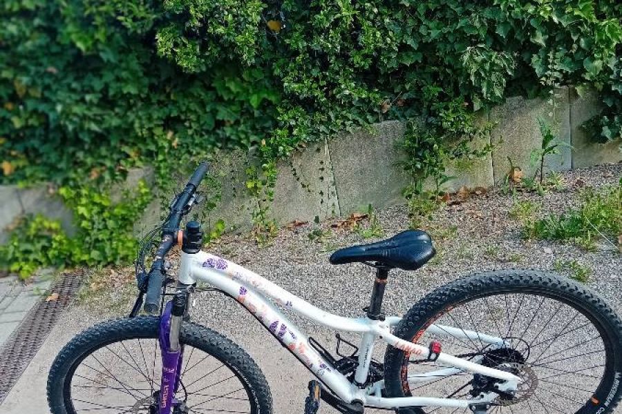 Verkaufe Kinder Fahrrad - Bild 2