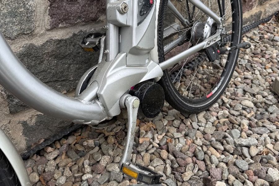 250 EURO E-BIKE - Bild 2