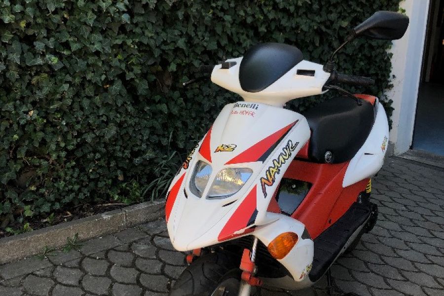 Benelli K2 Namur - Bild 1