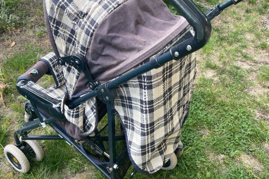 Kleinkinder- Buggy leicht und faltbar - Bild 2