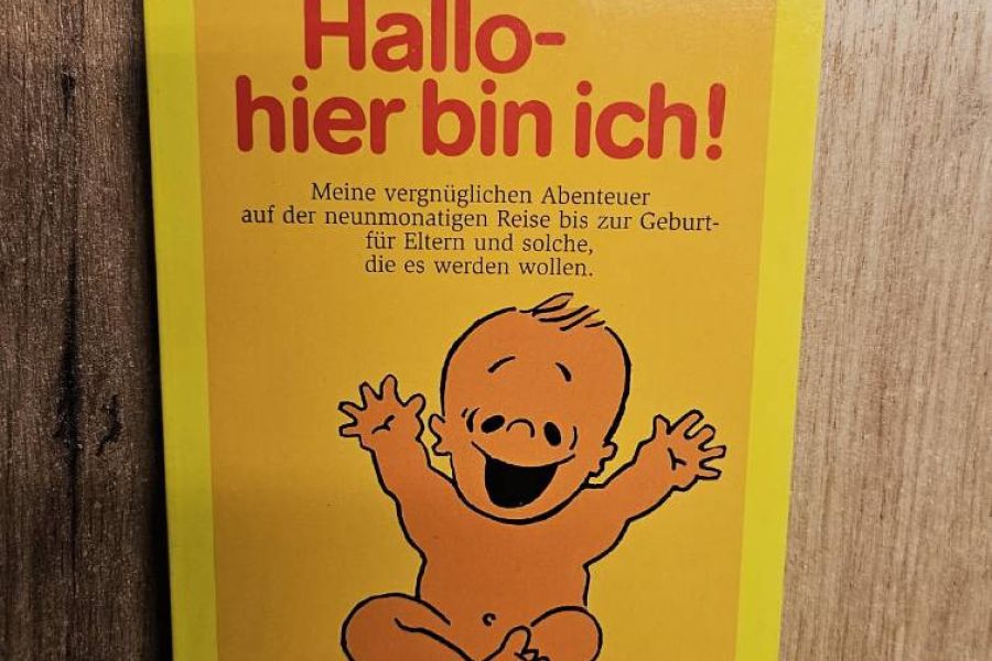 Willy Breinholst - Hallo hier bin ich! Schwangerschaft - Bild 1
