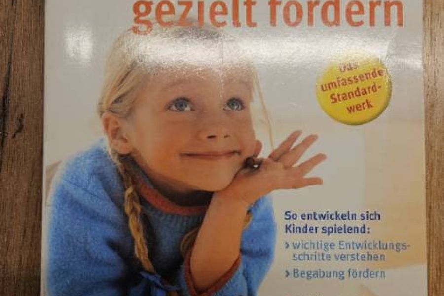 Nitsch/Hüther - Kinder gezielt fördern - Bild 1