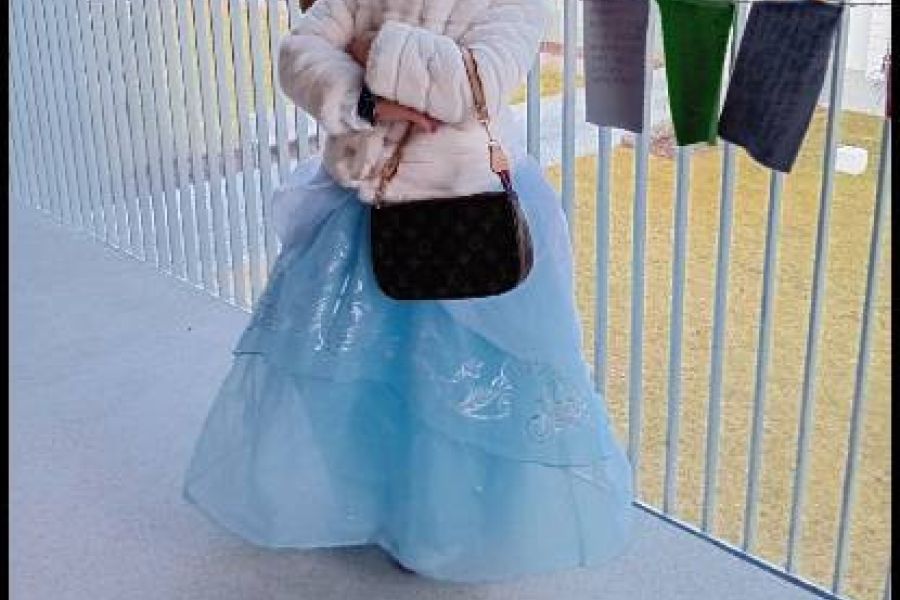 Disney Cinderella Ballkleid für 5-8 Jährige - Bild 4