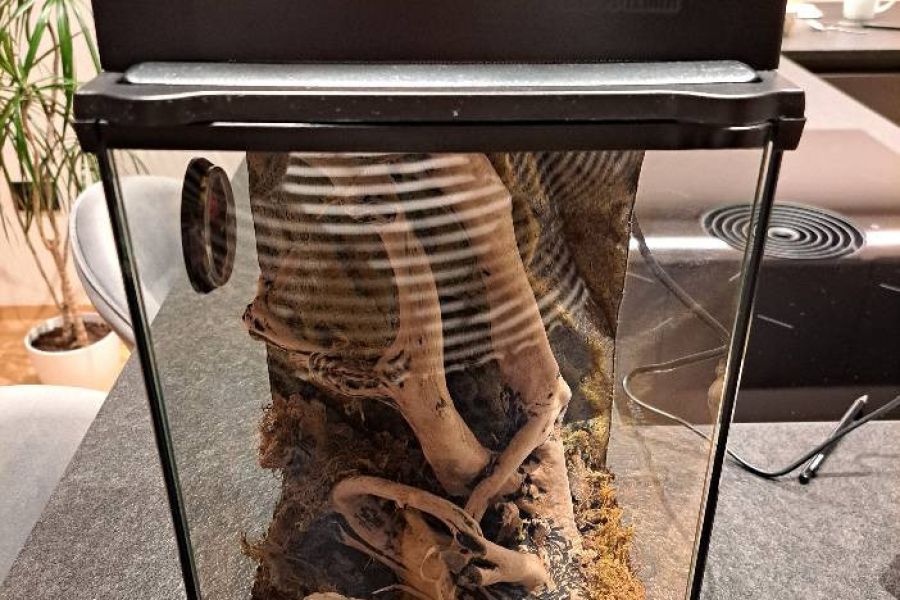 Verkaufe ein Acrylterrarium für kleine Tiere in sehr gutem Zustand - Bild 2