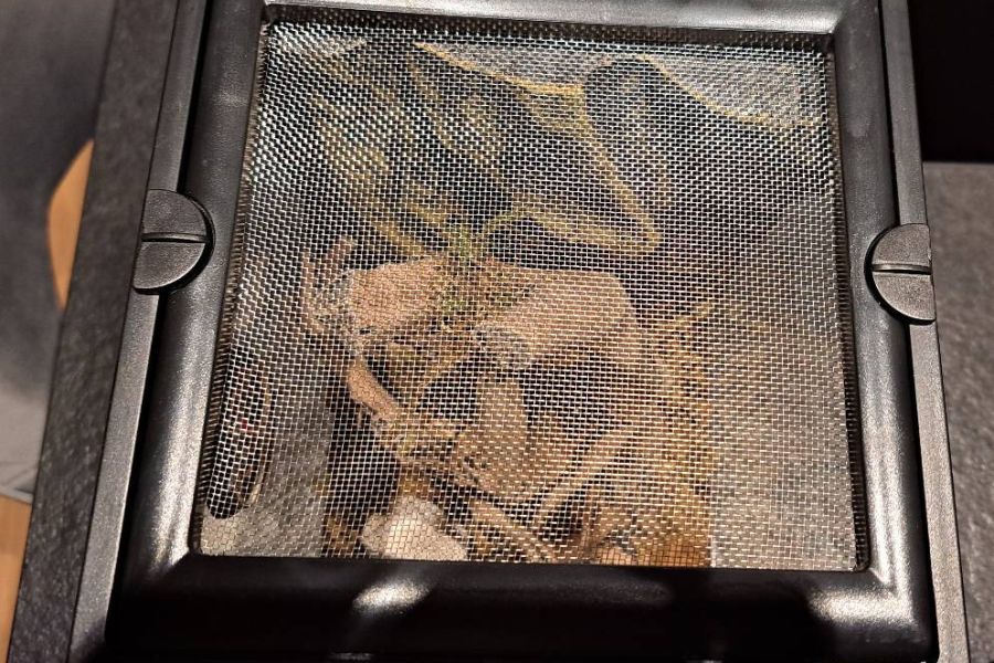 Verkaufe ein Acrylterrarium für kleine Tiere in sehr gutem Zustand - Bild 4