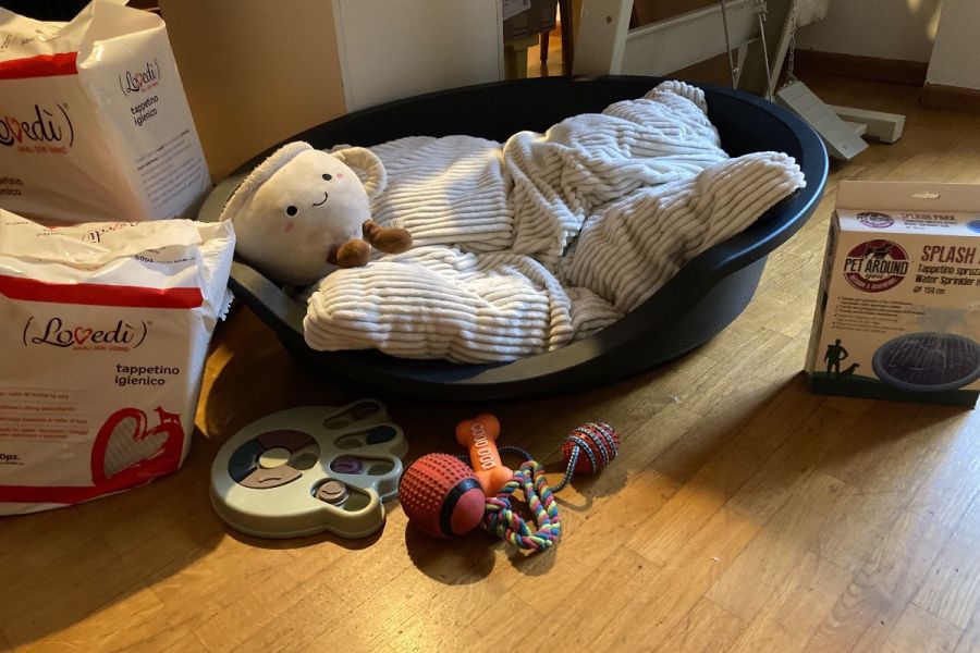 Hundezubehör - Bild 1