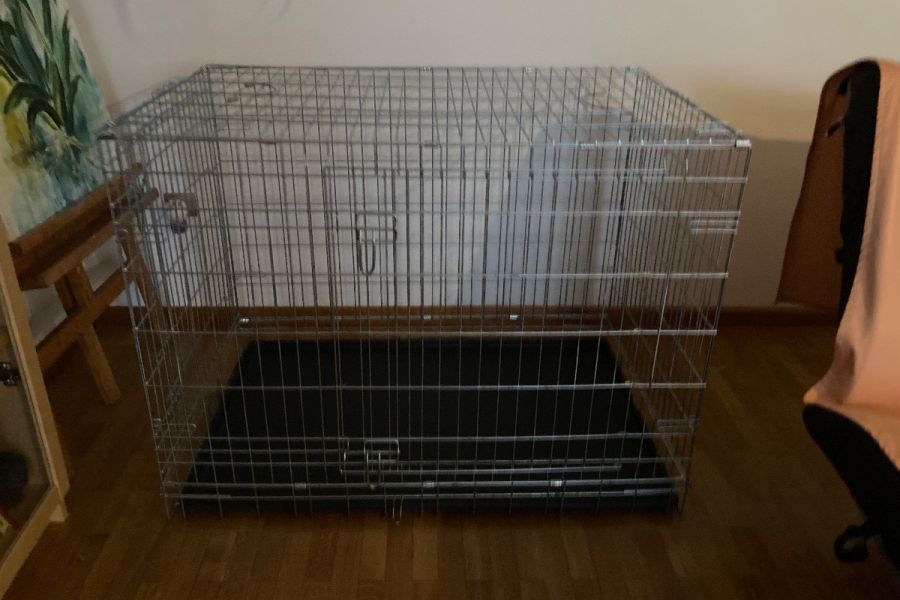 Hundezubehör - Bild 2