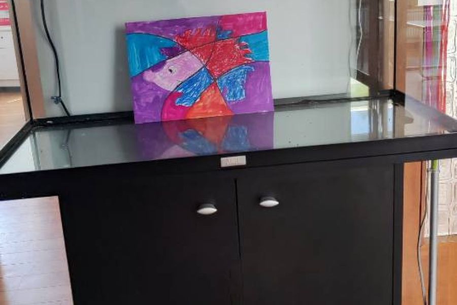 Aquarium 80 x 35 mit Schrank - Bild 1