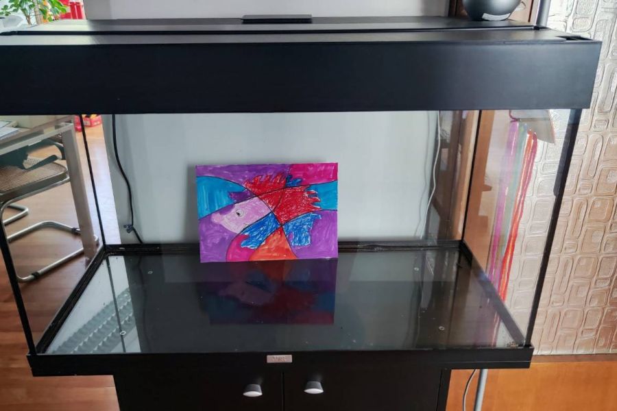 Aquarium 80 x 35 mit Schrank - Bild 2