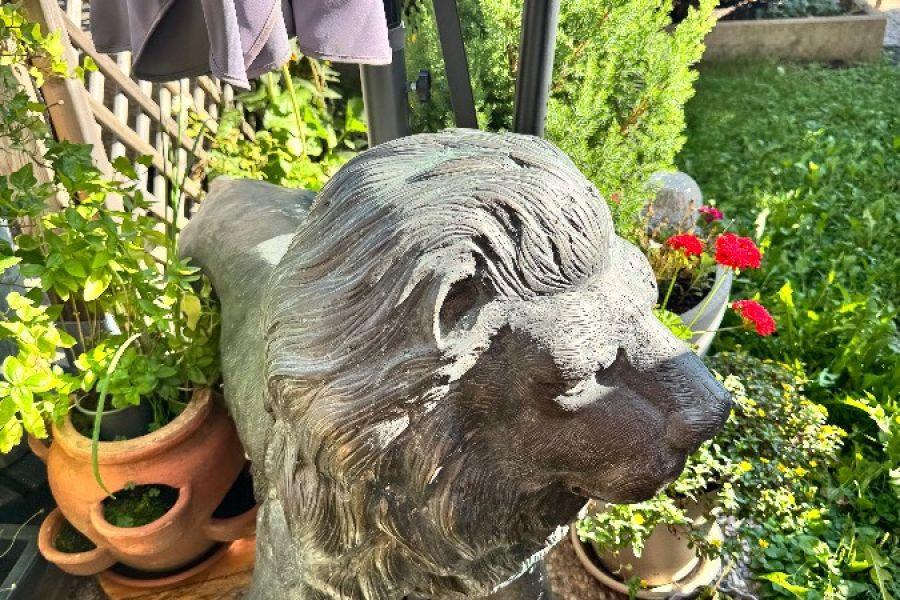 Löwe in Bronze - Bild 2