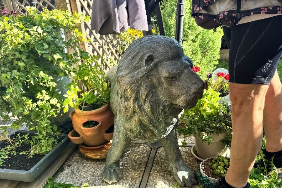 Löwe in Bronze - Bild 4