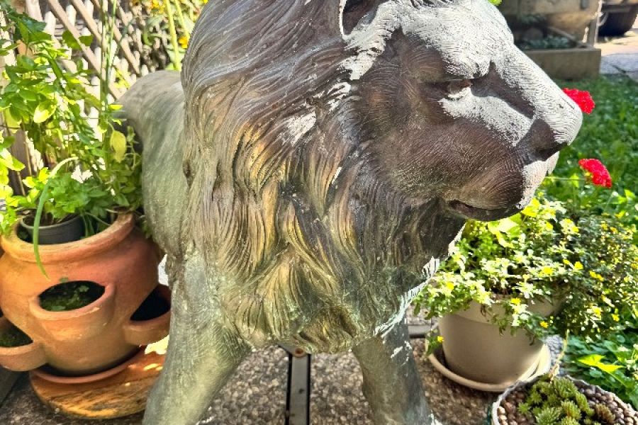 Löwe in Bronze - Bild 5
