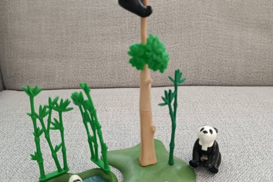Panda Bären im Gehege - Bild 1