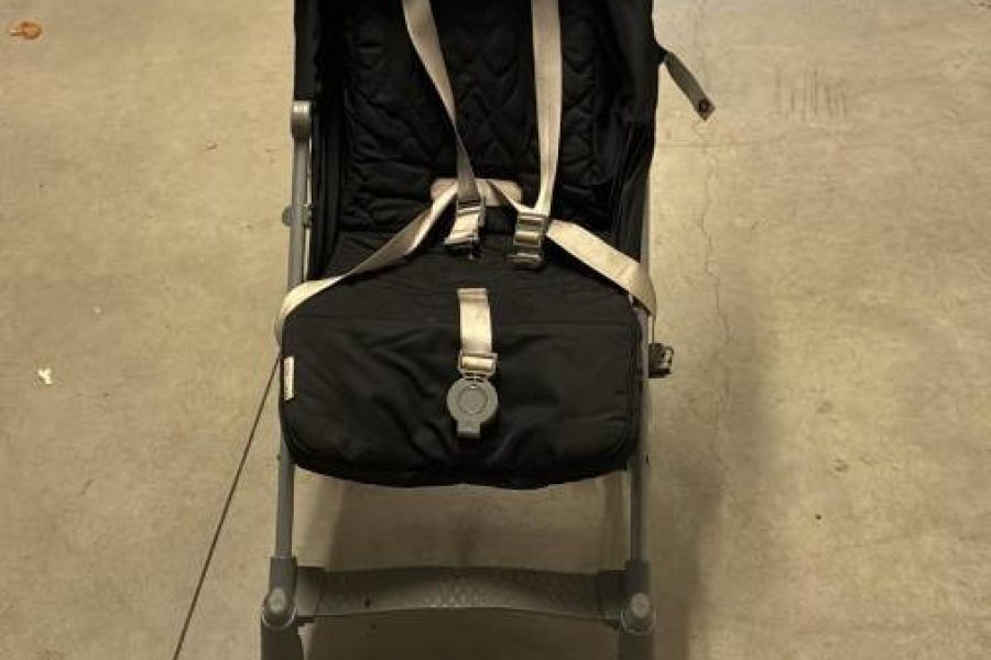 Reise-Buggy zu verkaufen - Bild 4