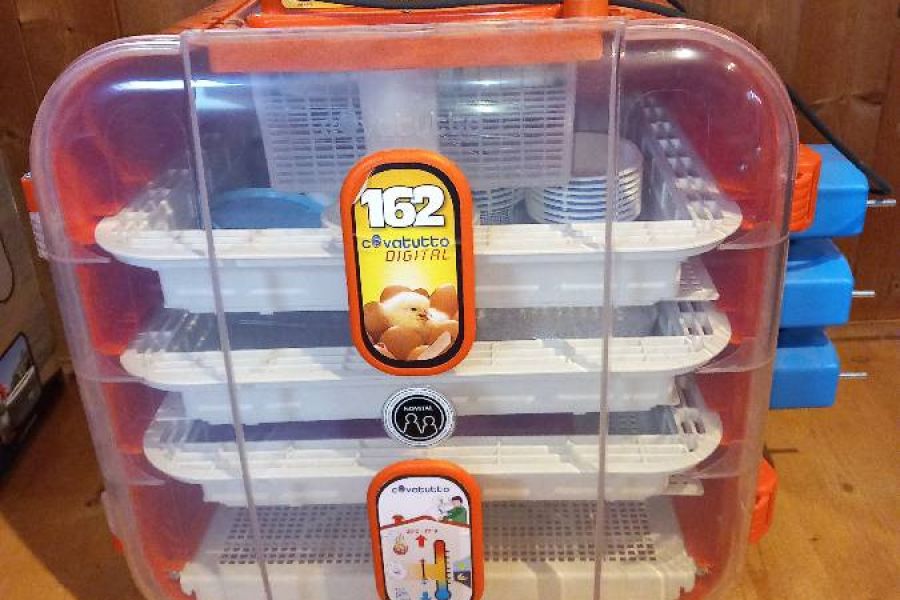 Brutautomat - Bild 1